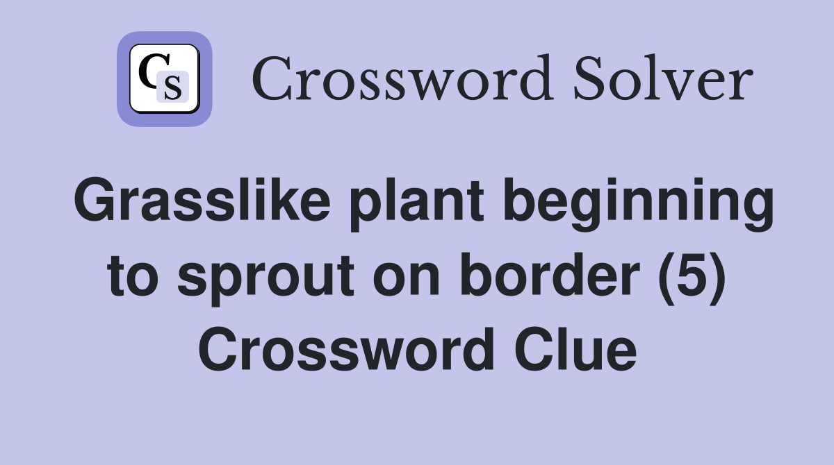 Grasslike plant beginning to sprout on border (5) Crossword Clue